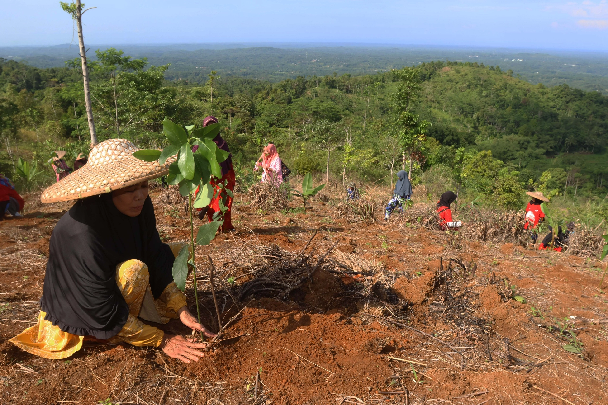 Telkom Dukung Pemulihan 82,1 Ha Lahan Kritis
